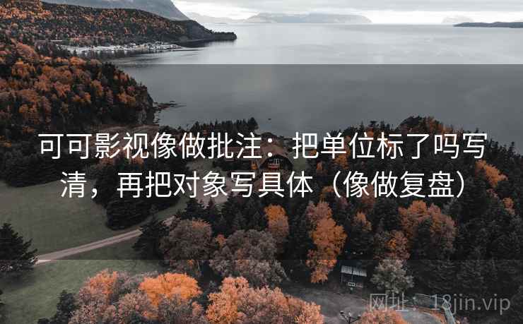可可影视像做批注：把单位标了吗写清，再把对象写具体（像做复盘）